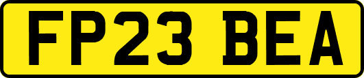 FP23BEA