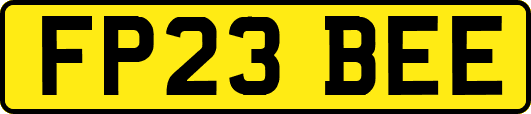 FP23BEE