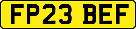 FP23BEF