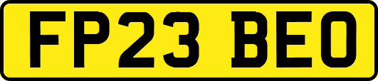 FP23BEO