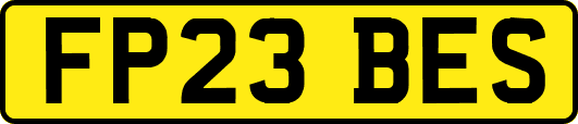 FP23BES
