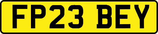 FP23BEY