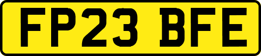 FP23BFE