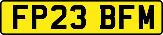 FP23BFM