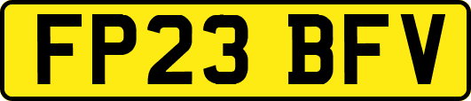 FP23BFV