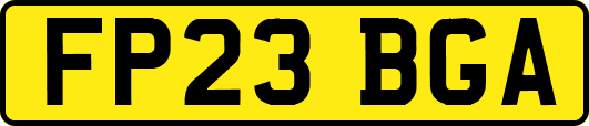 FP23BGA