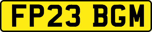 FP23BGM