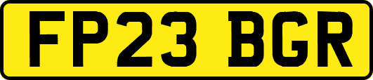 FP23BGR