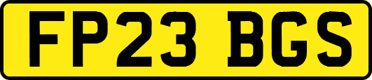 FP23BGS