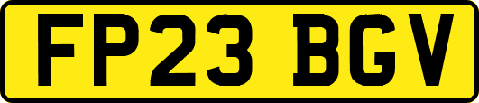 FP23BGV