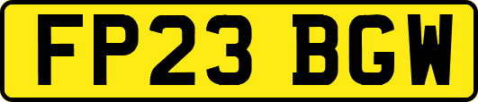 FP23BGW