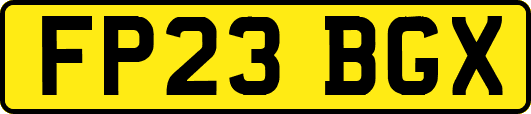 FP23BGX