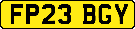 FP23BGY