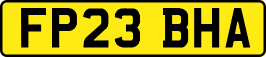 FP23BHA
