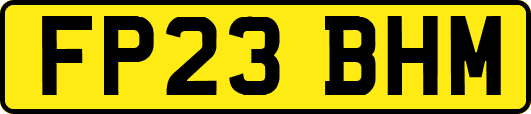 FP23BHM