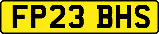 FP23BHS