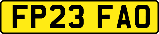 FP23FAO