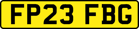 FP23FBG