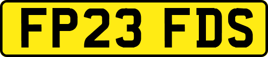 FP23FDS