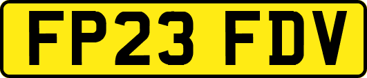 FP23FDV
