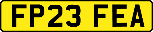 FP23FEA