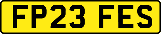 FP23FES