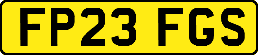FP23FGS