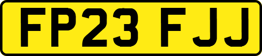 FP23FJJ