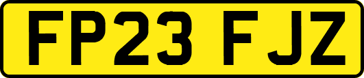 FP23FJZ