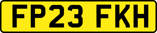 FP23FKH