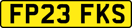 FP23FKS