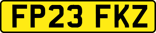 FP23FKZ