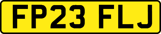 FP23FLJ