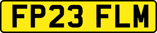 FP23FLM