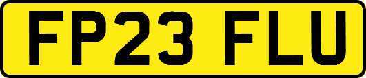FP23FLU