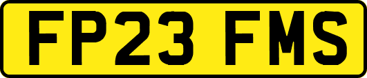 FP23FMS