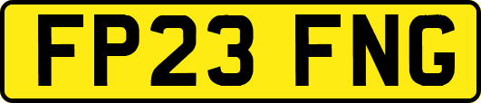 FP23FNG