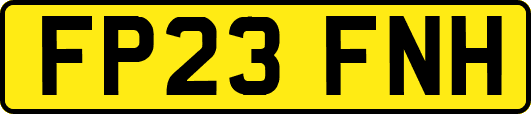 FP23FNH