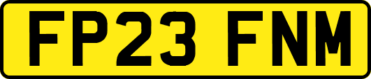 FP23FNM