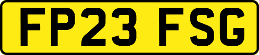 FP23FSG