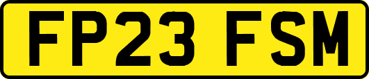 FP23FSM