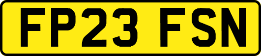 FP23FSN