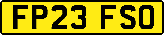 FP23FSO