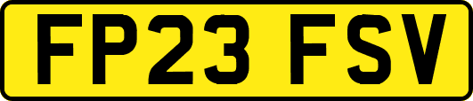 FP23FSV
