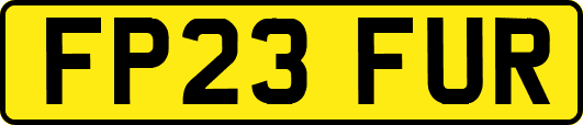 FP23FUR