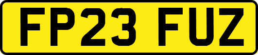FP23FUZ