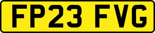 FP23FVG