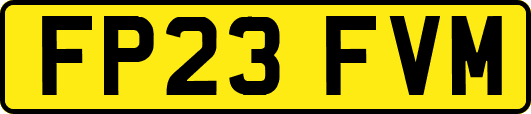 FP23FVM