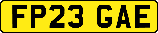 FP23GAE