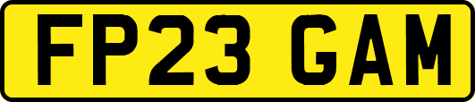 FP23GAM